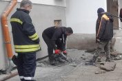 коте спасяване Бургас