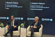 Владимир Малинов конференция Египет
