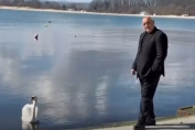 Бойко Борисов с лебед