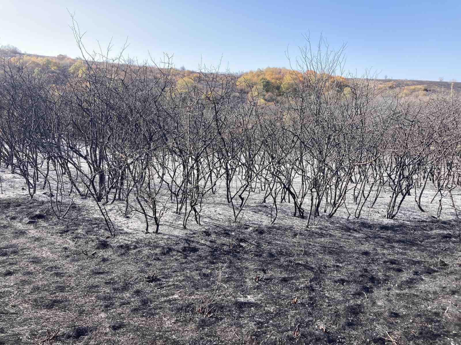 Пожарът край костинбродските села изпепелиха гори и треви