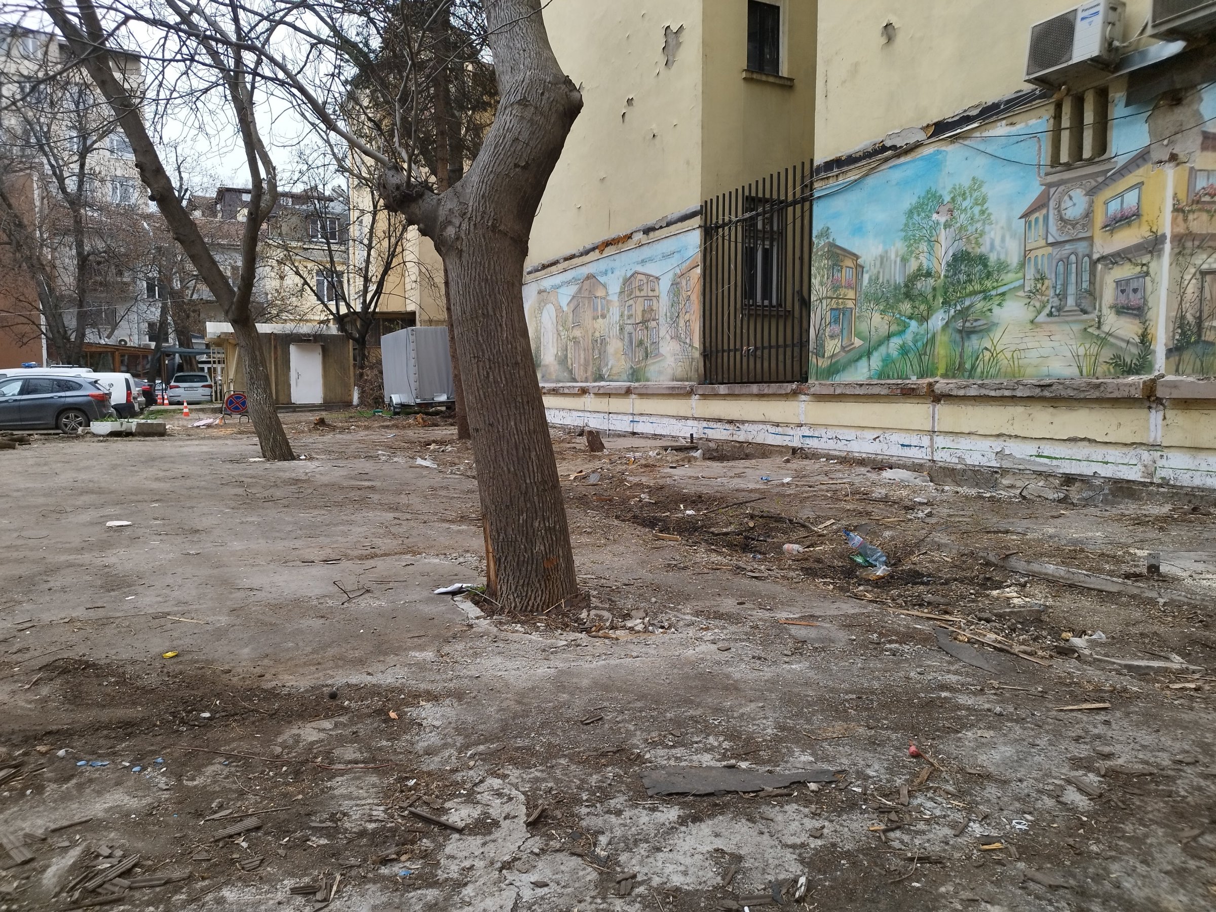  Разчистване на двора на 