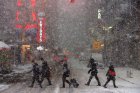  Снежна буря затвори централата на ООН и училища в Ню Йорк, стотици полети бяха отменени 