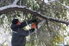 След снега: София е проходима, разчистват счупени клони, дървета и  вътрешноквартални улици