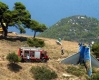 121 души загинаха при катастрофа на кипърски самолет близо до Атина 