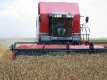 Резервът удря рамо на зърнения пазар с търсене на 120 хил. т жито 