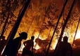 Опустошителните пожари в Португалия са извън контрол