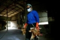 Европа се готви за пандемия от птичи грип 