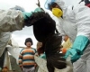 Още едно дете в Турция почина от птичи грип 