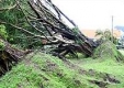 Тайфун порази североизточна Австралия