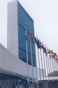 ООН ще проведе “конкурс за красота”, за да избере нов генерален секретар
