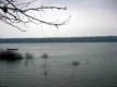 Мазутното петно по Дунав се проточи почти 70 км