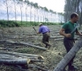 Строителни и дърводобивни лобита лишават 150 общини от финансиране по НАТУРА 2000 