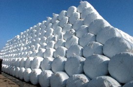 Може държавата да обяви конкурса за столичния завод за смет