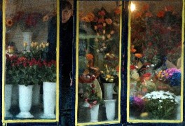 Проверки по цветарските магазини за продажба на защитени растения