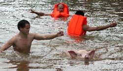 Наводнение в Китай взе 71 жертви
