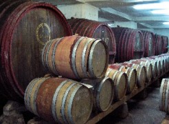 България може да стане вносител №1 на вина в Русия