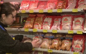 Скъпото зърно повлича и цените на птичите продукти