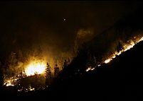 Хиляди евакуирани от Канарите заради горски пожари