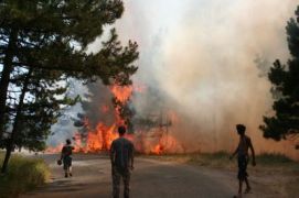 Нови пожари в страната, огън блокира авто и жп движение