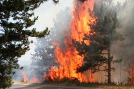 Пожари продължават да опустошават страната