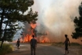 Нови пожари в страната, огън блокира авто и жп движение