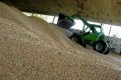 Зърнената търговия в Русе блокира, няма продавачи