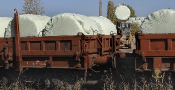 Столичните бали с боклук убиха жена в Цалапица