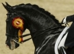 Четири коня спипани с допинг на Олимпиадата