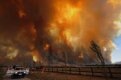 Жертвите от гигантските пожари в Австралия надхвърлиха 180