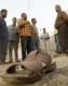 30 убити при пет експлозии в Багдад