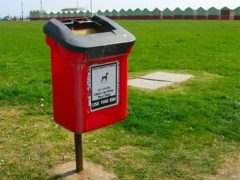 В Москва слагат кошчета за кучешки екстременти