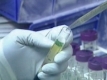 Втори смъртен случай от свински грип в България 