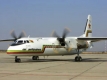 Зимбабвийски самолет се сблъска с дива свиня
