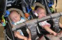 "Техническа неточност" отрязала помощите за близнаци и майки студентки 