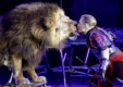Цирков лъв въвлечен в среднощен екшън в Германия 