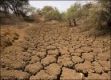 Още догодина може да тръгне климатичният фонд за развиващите се страни