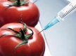ГЕРБ приема и ГМО-закона, и мораториум върху него