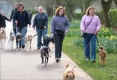 Разходката на кучетата в столицата вече само по специални алеи