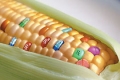 Депутатите подхванаха поправки “на парче“ в ГМО-закона