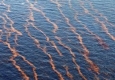 "Бритиш петролиум" ще плати щетите от разлива в Мексиканския залив