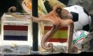 Октоподът Паул прогнозира, че Испания ще е новият световен шампион