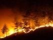Продължава да расте броят на жертвите от опустошителните пожари в Русия