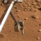 Нова мисия на НАСА ще изследва тайните на Марс