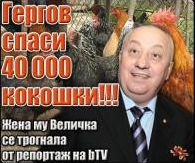 Бизнесменът Георги Гергов спасява 40 000 кокошки от гладна смърт