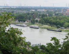 Дунав е застрашена при увеличаване на корабоплаването