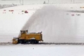 Снежният студ взе 30 жертви и парализира транспорта в Европа 