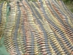 Военното министерство започва бизнес с боеприпаси