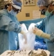 Парите за трансплантации в чужбина през 2010 г. спестени 
