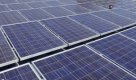 "Тошиба" ще строи слънчева електроцентрала за 1.2 мрлд. долара край Ямбол