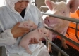 Европомощ за свиневъдите заради диоксиновата зараза в Германия